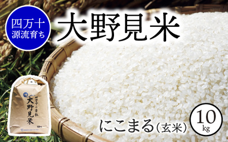 【四万十源流】特別栽培大野見米にこまる10ｋｇ（玄米）