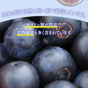 【ふるさと納税】＜ブルーベリー（冷凍） 2.45kg＞高知県 佐川町 果物 フルーツ 国産 【冷凍】冷凍ブルーベリー 