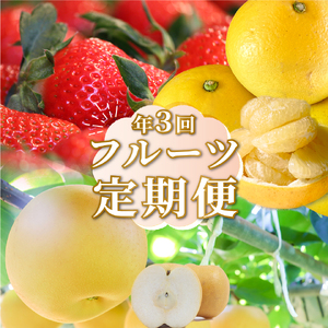 【ふるさと納税】＜フルーツ 定期便（全３回）＞ いちご 土佐文旦 梨 fruit 苺 おすすめ フレッシュ 旬 果物 くだもの 高知県 佐川町産【常温】【冷蔵】