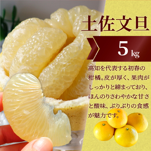 【ふるさと納税】＜フルーツ 定期便（全３回）＞ いちご 土佐文旦 梨 fruit 苺 おすすめ フレッシュ 旬 果物 くだもの 高知県 佐川町産【常温】【冷蔵】