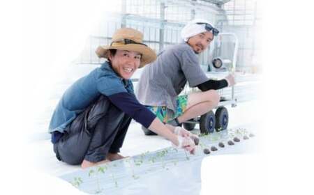 【2025年12月～発送】＜900g＞カラフル トマト 5種MIX フルティカなど　ましまファーム ミニトマト フルーツトマト アイメック   ミックス フルティカ＆ミニ4種