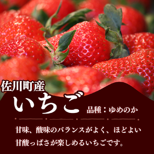 いちご　ゆめのか 285g×4パック　秀品　苺【期間・数量限定】贈答用　＜2026年1月下旬～3月下旬頃発送予定＞