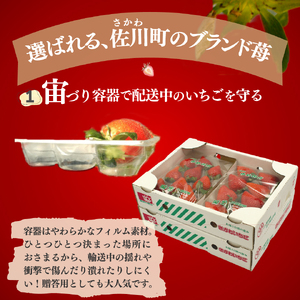 いちご　ゆめのか 285g×4パック　秀品　苺【期間・数量限定】贈答用　＜2026年1月下旬～3月下旬頃発送予定＞