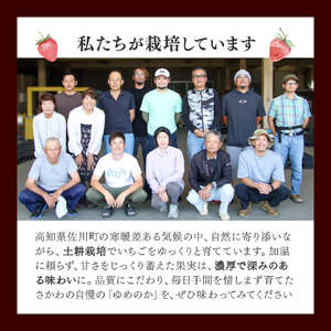 いちご　ゆめのか 285g×4パック　秀品　苺【期間・数量限定】贈答用　＜2026年1月下旬～3月下旬頃発送予定＞