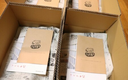 【ふるさと納税】年12回発送！＜南国高知から直送！旬の季節のお野菜定期便（7～9品）＞毎月お届け 野菜セット 野菜便 詰め合わせ 【冷蔵】 旬の時期にお届け 2回目以降、着日時間指定可能 こうち育ち 佐川町