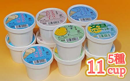 【ふるさと納税】＜アイス詰合せ カップ アイス シャーベット アイスクリン 5種 11個 セット＞ 横畠冷菓【冷凍】送料無料 さっぱり ストロベリー ゆず 文旦 ソーダ バニラ 爽やか 土佐のローカルアイス
