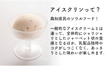 【ふるさと納税】＜アイス詰合せ カップ アイス シャーベット アイスクリン 5種 11個 セット＞ 横畠冷菓【冷凍】送料無料 さっぱり ストロベリー ゆず 文旦 ソーダ バニラ 爽やか 土佐のローカルアイス