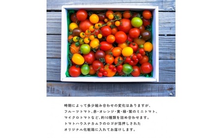 ＜2026年1月～5月頃まで発送＞アルテminiの宝石箱 約1kg×1箱 フルーツトマト 高知県 佐川町 トマトハウスナカムラ【常温】栽培期間中化学農薬・化学肥料不使用 有機JAS　