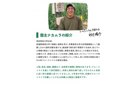 ＜2026年1月～5月頃まで発送＞アルテminiの宝石箱 約1kg×1箱 フルーツトマト 高知県 佐川町 トマトハウスナカムラ【常温】栽培期間中化学農薬・化学肥料不使用 有機JAS　