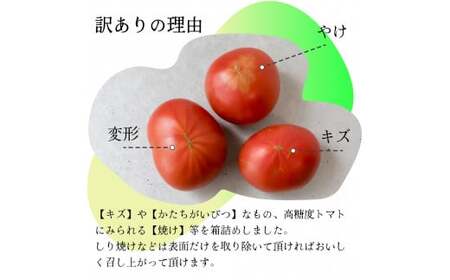 【2025年12月下旬～順次発送】＜訳あり フルーツトマト 原田農園 約1.8kg 箱入＞ 桃太郎 家庭用 ワケあり 変形 キズあり 高知県 佐川町　