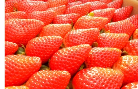 （全2回）佐川町産フルーツ 定期便 　いちご 梨