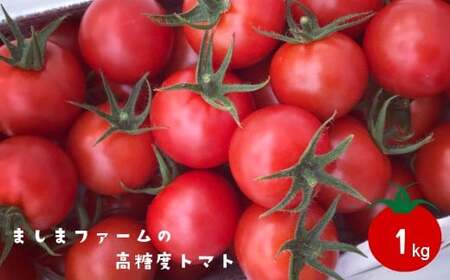 【2025年12月～発送】高糖度ミニトマト＜約1kg＞ 秀品  フルティカ【化粧箱入／プレゼント・ギフト・贈答用に】小分けパック アイメック☆ ましまファーム フルーツトマト