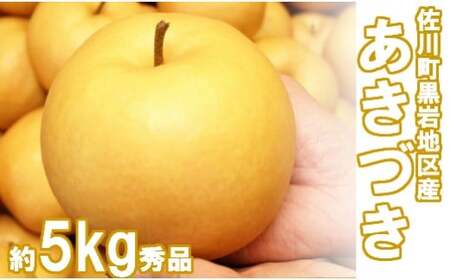 あきづき　梨（約５kg／8～12玉）【期間限定・先行予約受付】秋月梨　2026年秋発送