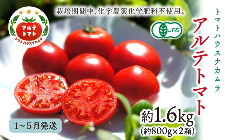 ＜2026年1月～5月頃まで発送＞アルテトマト 約1.6kg（20-35玉）フルーツトマト 高知県 佐川町 トマトハウスナカムラ 野菜 贈答用 【常温】リピーター多数 高糖度 ギフト 栽培期間中化学農薬不使用 有機JAS 　
