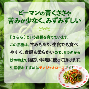 【ふるさと納税】【2026年5月下旬以降発送】＜ピーマン＞1kg さらら 高知 野菜 夏 苦みが少ない 佐川町産【冷蔵】