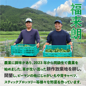 【ふるさと納税】【2026年5月下旬以降発送】＜ピーマン＞1kg さらら 高知 野菜 夏 苦みが少ない 佐川町産【冷蔵】