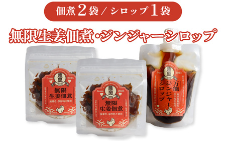 【ふるさと納税】＜佃煮2袋・シロップ1個＞農家の嫁の生姜佃煮1袋70g ジンジャーシロップ200ml クラフトジンジャー 希釈 ごはんのお供（A） ginger 農奥 高知 詰め合わせ【常温】らんまん 牧野富太郎