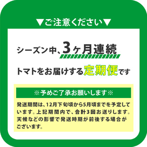 【ふるさと納税】定期便 3回【 2025年12月下旬～順次発送 】＜フルーツトマト 原田農園 約1,800g 大箱＞桃太郎【常温】送料無料