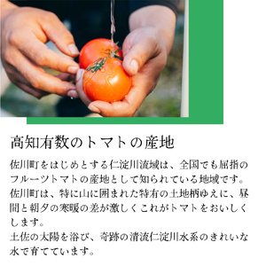 【ふるさと納税】定期便 3回【 2025年12月下旬～順次発送 】＜フルーツトマト 原田農園 約1,800g 大箱＞桃太郎【常温】送料無料