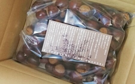 【ふるさと納税】＜まるっこ栗 秀品 夢甘栗 （約1kg）＞生栗 くり 和栗 国産 クリ【冷蔵】先行受付 おすすめ 旬 高知県 佐川町 仁淀川流域夢甘栗生産者組合 くり蔵 1つのイガに1粒のみ 希少　＜2026年10月中旬以降（予定）発送＞