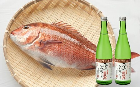 【ふるさと納税】＜【年4回】鮮魚・日本酒（幻の酒）定期便＞高知県 佐川町 勘八　かんぱち　タイ　鯛　ブリ　鰤　かつおのたたき　純米酒　薄濁り酒　地域限定品【冷蔵冷凍】