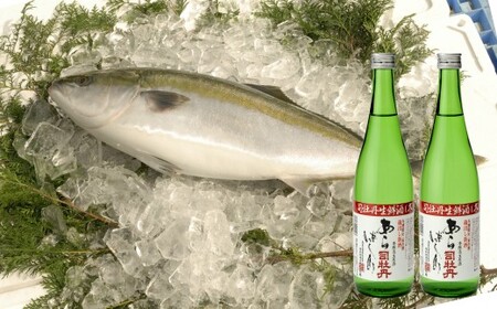 【ふるさと納税】＜【年4回】鮮魚・日本酒（幻の酒）定期便＞高知県 佐川町 勘八　かんぱち　タイ　鯛　ブリ　鰤　かつおのたたき　純米酒　薄濁り酒　地域限定品【冷蔵冷凍】