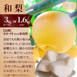 【ふるさと納税】<フルーツ 定期便(全3回)> いちご 梨 焼き栗 fruit 苺 おすすめ 旬 果物 くだもの 高知県 佐川町産【冷蔵】【常温】【冷凍】