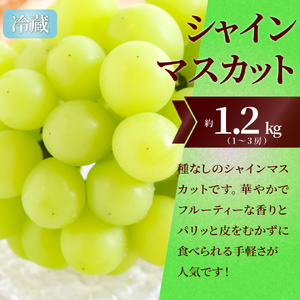 【ふるさと納税】＜フルーツ 定期便（全３回）＞ いちご シャインマスカット ぶどう 梨 fruit 苺 おすすめ 旬 果物 くだもの 高知県 佐川町産【冷蔵】【常温】