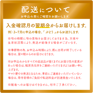 【ふるさと納税】＜フルーツ 定期便（全３回）＞ いちご シャインマスカット ぶどう 梨 fruit 苺 おすすめ 旬 果物 くだもの 高知県 佐川町産【冷蔵】【常温】