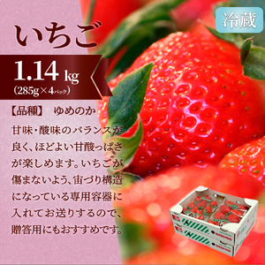 【ふるさと納税】＜フルーツ 定期便（全３回）＞ いちご ピオーネ ぶどう 梨 fruit 苺 おすすめ 旬 果物 くだもの 高知県 佐川町産【冷蔵】【常温】