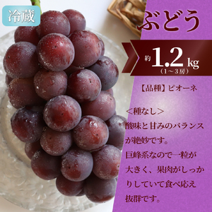 【ふるさと納税】＜フルーツ 定期便（全３回）＞ いちご ピオーネ ぶどう 梨 fruit 苺 おすすめ 旬 果物 くだもの 高知県 佐川町産【冷蔵】【常温】