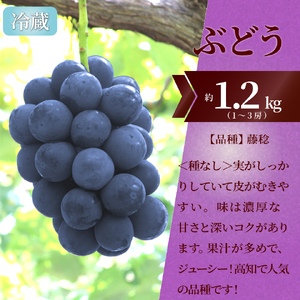 【ふるさと納税】＜フルーツ 定期便（全３回）＞ いちご ぶどう 藤稔 梨 fruit 苺 おすすめ 旬 果物 くだもの 高知県 佐川町産【冷蔵】【常温】