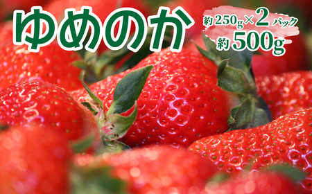 いちご　ゆめのか 285g×2パック　秀品　苺【期間・数量限定】贈答用　＜2026年1月下旬～3月下旬頃発送予定＞ 6,660円