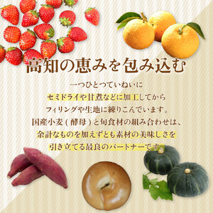 【数量限定・事前予約】『工房ナチュール』の天然酵母ベーグルセット 内容お任せ 12個 【12月発送分受付中!】