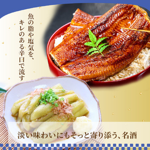 【ふるさと納税】船中八策 司牡丹酒造 【特別純米酒】 720ml×1本 父の日 母の日 高知 贈答 ギフト プレゼント 超辛口 食中酒 冷や ぬる燗 日本名門酒会限定酒