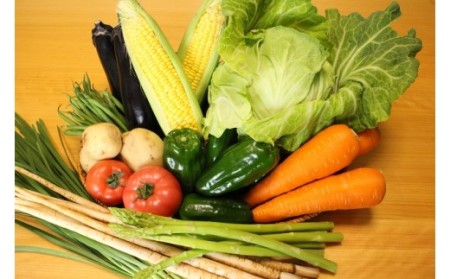 越知産市の季節の野菜セット(年3回発送)　産地直送　旬野菜