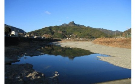 越知町応援寄附金(返礼品無し)500000円