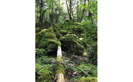 越知町応援寄附金(返礼品無し)500000円