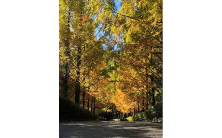 越知町応援寄附金(返礼品無し)500000円