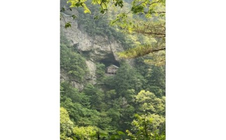 越知町応援寄附金(返礼品無し)500000円