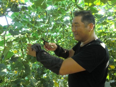 越知産市の季節の野菜セット(年6回発送) 奇数月