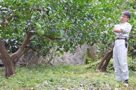 しょうがシロップ(300ml)