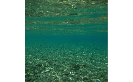 ラフティング券（アルティメットリバー 5名）