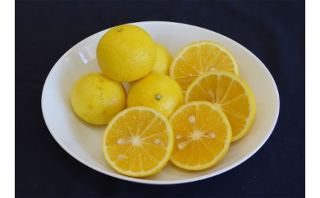  黄金柑（約3kg）