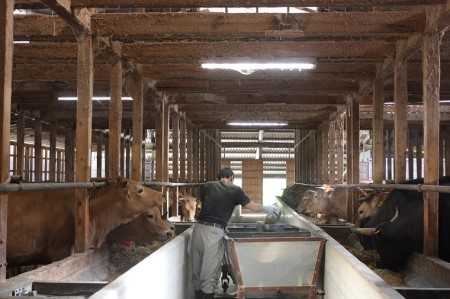 土佐あかうし(400g)