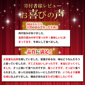 低温でも脂身がとろけるゆすはら牛切り落とし 500g　牛肉 和牛 黒毛 こま切れ オレイン酸 高知県産