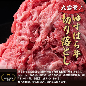 低温でも脂身がとろけるゆすはら牛切り落とし 1kg　牛肉 和牛 黒毛 こま切れ オレイン酸 高知県産