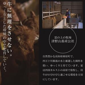 四国カルスト高原で育った土佐あかうし すき焼き用 300g 牛肉 和牛 赤毛 高知県産