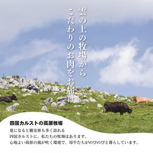 四国カルスト高原で育った土佐あかうし すき焼き用 300g 牛肉 和牛 赤毛 高知県産