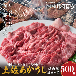 低温でも脂身がとろける土佐あかうし焼肉用肩ロース　500g　牛肉 和牛 国産 BBQ オレイン酸 高知県産